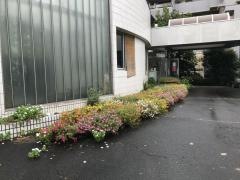 あだち内科クリニック