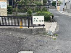 整体もみの木