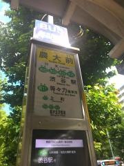 「農大前」バス停留所