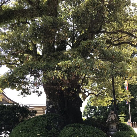 施設写真111