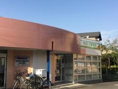 竹の子　接骨院