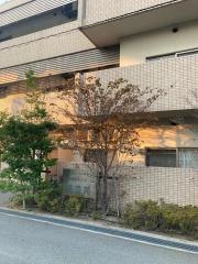 特別養護老人ホーム美豊苑
