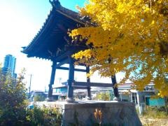庭松山　大悟寺