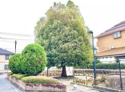 関町南くすのき緑地
