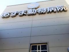 あずま動物病院