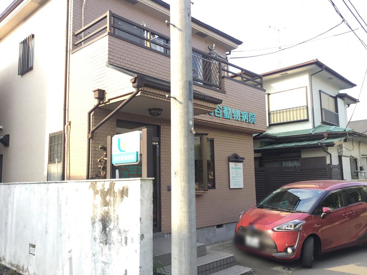 関谷動物病院