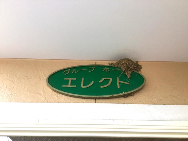 エレクト 看板