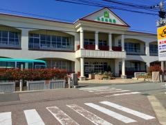 山王幼稚園