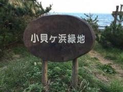 小貝ケ浜緑地