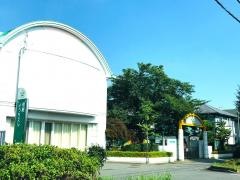 明星幼稚園