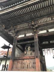 御室桜