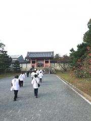 御室桜
