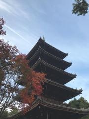 御室桜