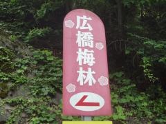 広橋梅林