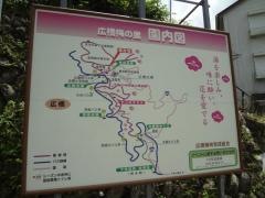 広橋梅林