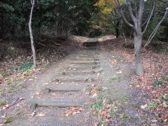 第15号香椎ケ丘緑地