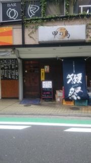 甲の鳥
