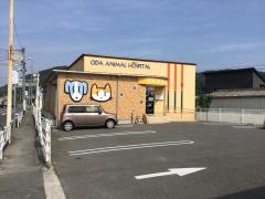 おだ動物病院