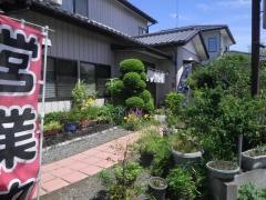 ひかり食堂