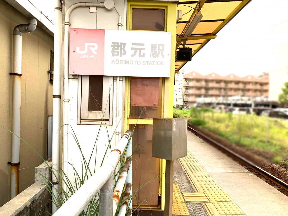 郡元