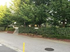 スポーツの杜公園