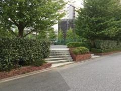 スポーツの杜公園