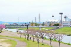 第4号逢妻川緑地