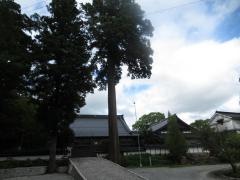三尾寺