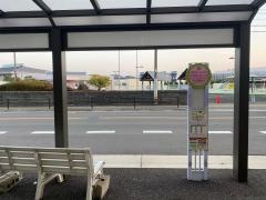 太宰府史跡水辺公園プール