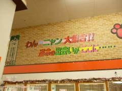 ワンニャンハウス岐阜柳津店