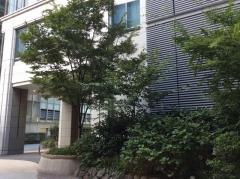 カルビー株式会社