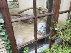 ふくろう茶屋