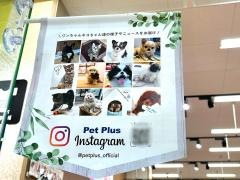 ペットプラス　宮崎店