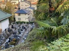 陽林寺