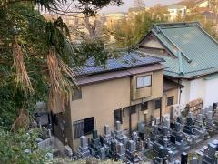 陽林寺