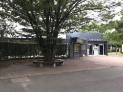 三橋総合公園屋内プール