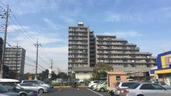 マツモトキヨシ　市川大野店