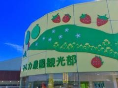 マルカ農園
