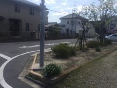 大坪街園