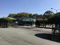 ぎんなん幼愛園