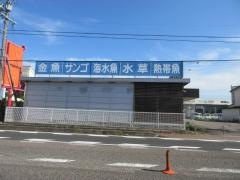 熱帯魚ショップＡＰＮ本店