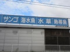 熱帯魚ショップＡＰＮ本店