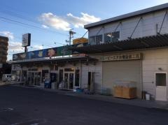 熱帯魚ショップＡＰＮ本店