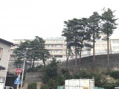国立病院機構新潟病院