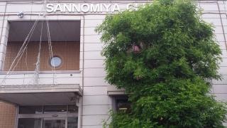 三宮整形外科医院