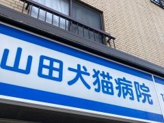 山田犬猫病院