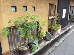 ほうみん