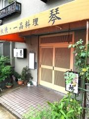 琴
