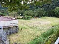 安良沢小学校