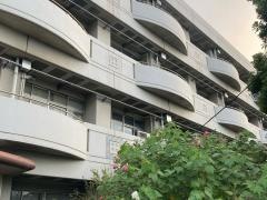 殿町小学校